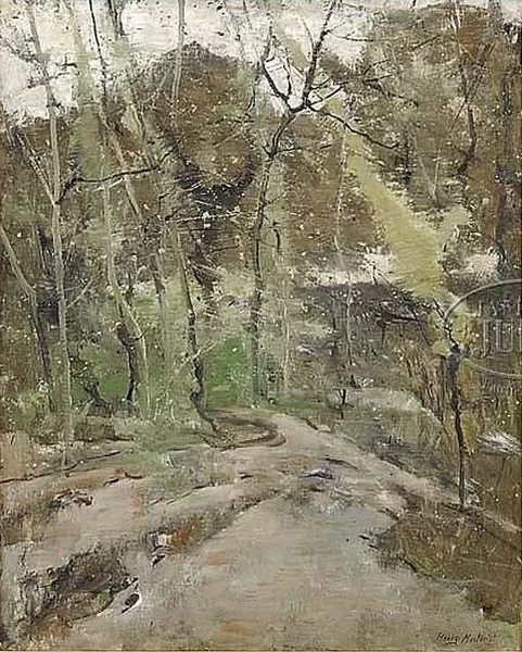 Strada sterratra tra gli alberi